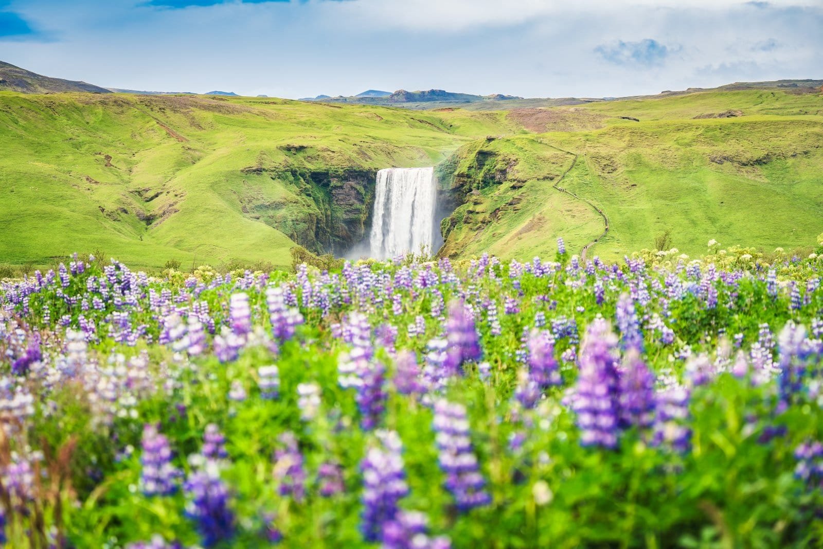 Skógafoss waterfall pouring over purple-hued cliffs